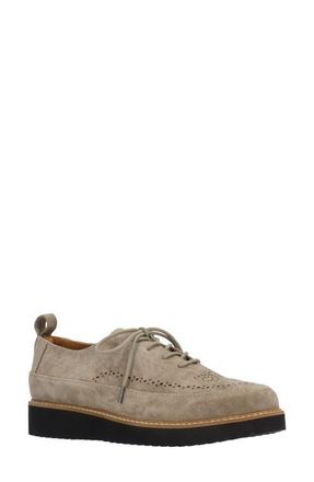 L'Amour Des Pieds Xindra Derby Sneaker in Dark Taupe at Nordstrom, Size 6.5