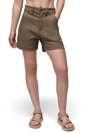 Prana Stretch Zion Cargo Shorts in Mud at Nordstrom, Size 16