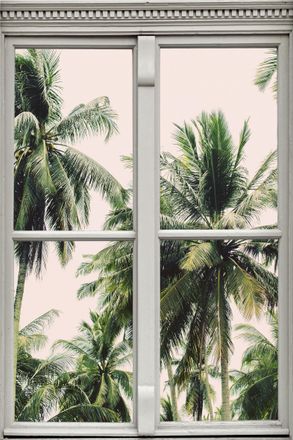 Queence Wandsticker »Palmen« Wandsticker, Wandbild, selbstklebend, 3D, Fenster