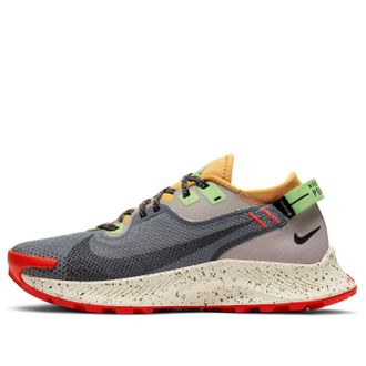 Nike (WMNS) Nike Pegasus Trail 2 GTX Smoke Grey Bucktan CU2018-002