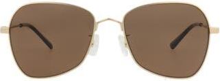 McQ by Alexander McQueen 55mm Aviator Sunglasses in Gold Gold Brown at Nordstrom Rack
