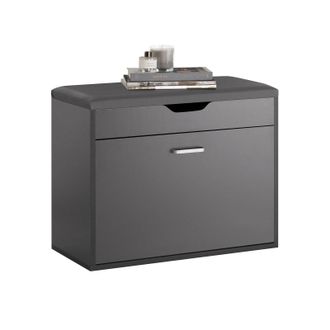 SoBuy Sobuy - Banco Zapatero Con 1 Solapa Para Entrada Banco De Almacenamianto Con Coj&iacute;n Acolchado De Asiento 60 X 30 X 50 Cm Gris Fsr95-hg Es