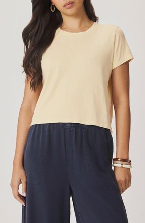 Splendid Louisa Short Sleeve T-Shirt in Honeysuckle Beige at Nordstrom, Size X-Small