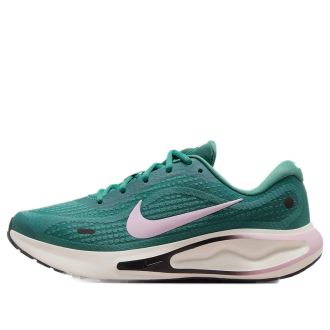 Nike (WMNS) Nike Journey Run Bicoastal Pink Foam FJ7765-301