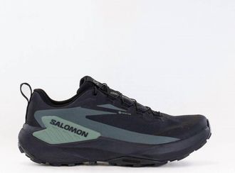 Salomon Mens Genesis Gtx Trail Running Shoe In Black/agave Green/urban Chic