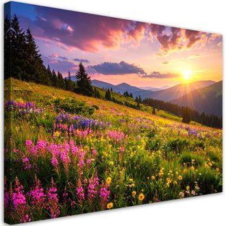 Feeby Cuadro Sobre Lienzo, Prado Flores Paisaje De Monta&ntilde;a Naturaleza, 120x80