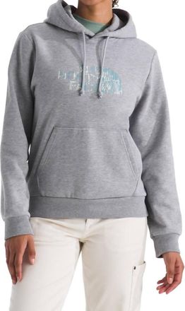 The North Face Evolution Regenerative Ink Half Dome Hoodie In Pale Grey Heather
