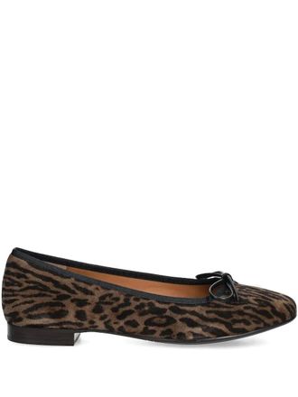 Billi Bi Ballerinas met luipaardprint en strik - Bruin