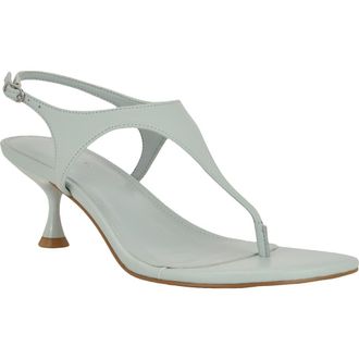 Calvin Klein Portia Ankle Strap Sandal in Light Green at Nordstrom, Size 6.5