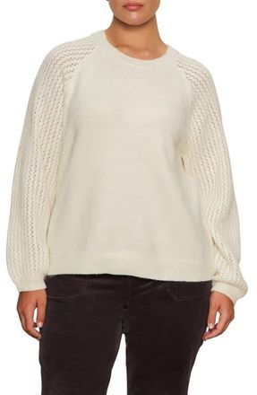 Sanctuary Cozy Moment Pointelle Sleeve Sweater in Chalk White at Nordstrom, Size 2X