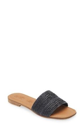 Seychelles Im in Love Slide Sandals in Black at Nordstrom Rack, Size 11
