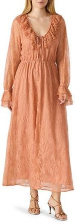 Steve Madden Rosabella Long Sleeve Lace Dress in Clay at Nordstrom Rack, Size Small