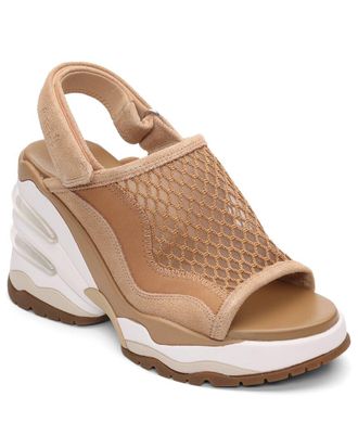 Ash Ceva Wedge