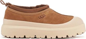 UGG Tasman