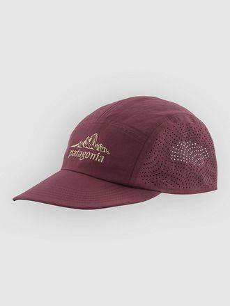 Patagonia Maclure St Cap