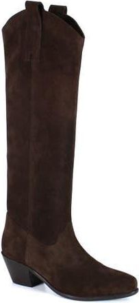 Diba AME THYST Suede Knee High Boot in Dark Brown at Nordstrom, Size 8.5