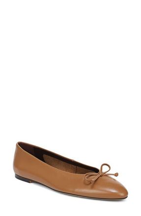 Franco Sarto Rosalee Ballet Flat in Brown Leather at Nordstrom, Size 8.5
