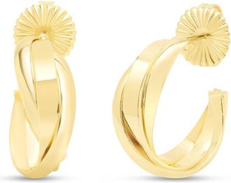 Jaclyn Smith Plated Earrings