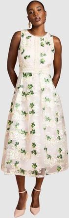 Coast Embroidered Mesh Lace Skirted Midi Dress in Blush at Nordstrom, Size 12