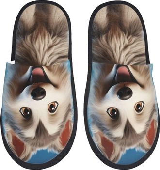 Generic Slippers Blue Sky Cute Wolf Breathable Fleece Slippers Soft Indoor Shoes For Hotel Travel Winter L
