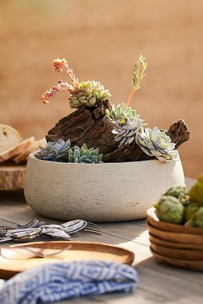 Terrain Fiber Cement Bowl Planter, 14