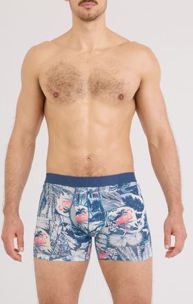 Saxx DropTemp Cooling Cotton Boxer Briefs in Botanique-Washed Ind at Nordstrom, Size X-Large