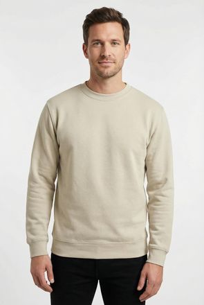 Fruit Of The Loom Sweatshirt FRUIT OF THE LOOM, Herren, Gr. XXL (60/62), beige (natur), angeraute Sweatware, Obermaterial: 80% Baumwolle, 20% Polyester, unifarben, schm
