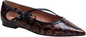 Linea Paolo Nuri Bow Pointed Toe Patent Flat in Brown/Black at Nordstrom Rack, Size 8.5