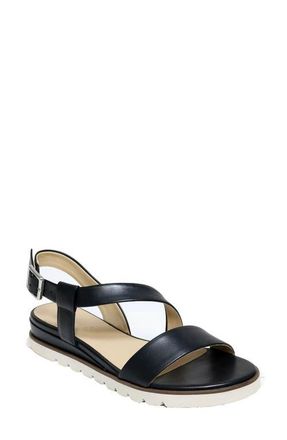 David Tate Ingrid Wedge Sandal in Black at Nordstrom, Size 11