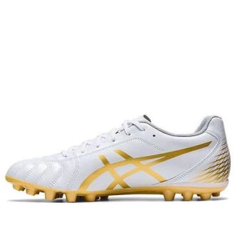 Asics Dslight Club AG White/Rich Gold 1103A027-122