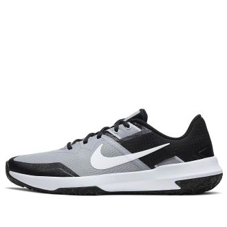 Nike Varsity Compete TR 3 Light Smoke Grey Black CJ0813-003