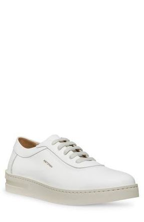 Stuart Weitzman Hamptons Sneaker in White at Nordstrom Rack, Size 10