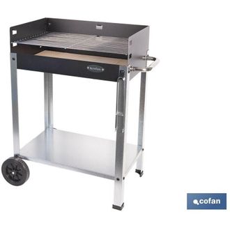 cofan Barbacoa De Carb&oacute;n Con Ladrillo Refractario 567 X 360 X 830 Mm