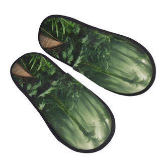 Generic DHGJHGN Tropical Rainforest Print Slippers For Women And Men,Warm Comfortable For Home And Travel