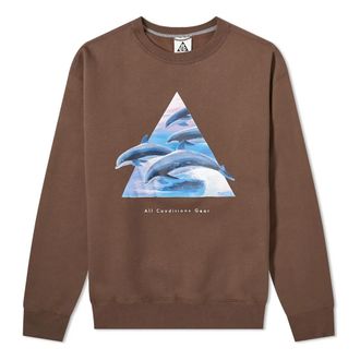 Nike ACG Whale Crew Sweat Ironstone Smoke Grey DH1580-004