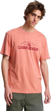 Quiksilver T-Shirt QUIKSILVER EV Vista, Herren, Gr. XXL, desert sand, Obermaterial: 70% Walkfrottier, 30% Walkfrottier;, Shirts T-Shirt