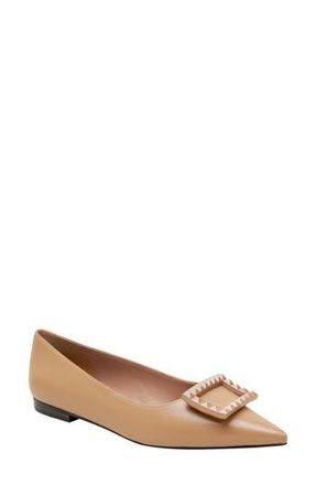Linea Paolo Nolene Pointed Toe Flat in Desert at Nordstrom Rack, Size 5.5