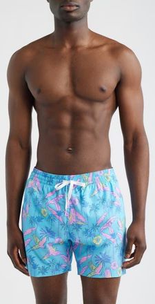 Chubbies The Flock Parties 5.5-Inch Swim Trunks in Turquoise/Aqua at Nordstrom, Size Xx-Large