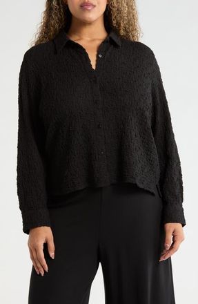 Eileen Fisher Classic Collar Stretch Organic Cotton Blend Button-Up Shirt in Black at Nordstrom, Size 3X