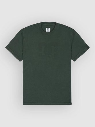DC Star Pigment Dye T-Shirt gr&uuml;n