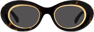 Loewe Anagram 54mm Oval Sunglasses in Dark Havana/smoke at Nordstrom