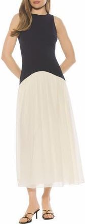 Alexia Admor Dorian Halter Neck Midi Dress in Navy/White at Nordstrom Rack, Size X-Small