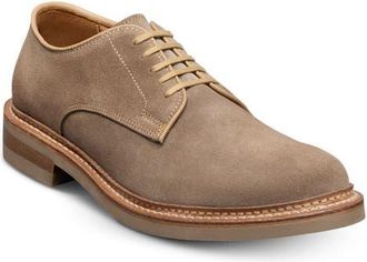 Allen Edmonds Amesbury Derby in Tobacco at Nordstrom, Size 14