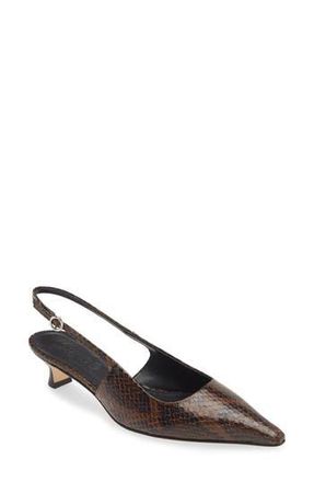 Aeyde Catrina Pointed Toe Pump in Moka at Nordstrom Rack, Size 7Us / 37Eu