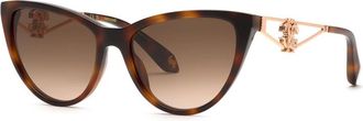 Roberto Cavalli SRC158M 9AJK Mens Sunglasses Tortoiseshell Size 54
