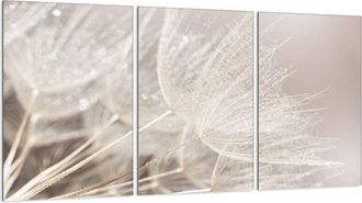 OEM Placa Protectora De Vidrio Para Estufa 3x30x52