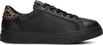 Hassia Schoenen, Dames, Zwart, 40 EU, Zwarte Dames Sneakers Asti