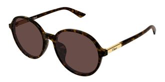 Chlo&eacute; CH0365SK Asian Fit 002 Womens Sunglasses Tortoiseshell Size 57