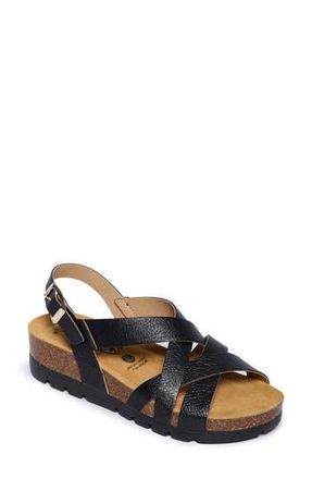 Plakton Compass Sandal in Elefante Lame Negro at Nordstrom Rack, Size 10Us / 41Eu