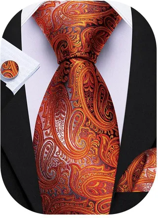 Barry.Wang Mens Paisley Tie Orange Silk Necktie Pocket Square Cufflinks Set Wedding Party
